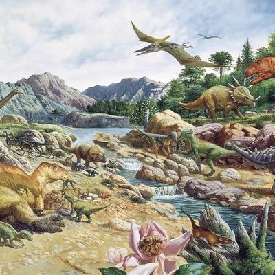 Timeline: Cretaceous Period