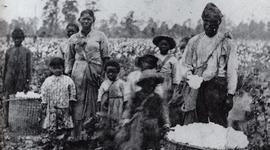 Timeline: Antebellum - Aliza Cawthon