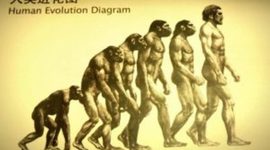 Timeline: EVOLUCIÓN HUMANA