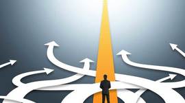 Timeline: Career Path Timeline