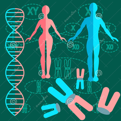 Timeline: Historia de la genética