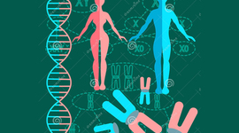 Timeline: Historia de la genética