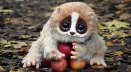 Timeline: la historia del comutador