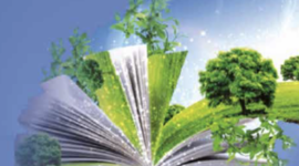 Timeline: ECOLOGÍA INTEGRAL