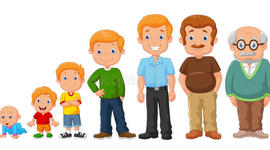 Timeline: Etapas del desarrollo Humano