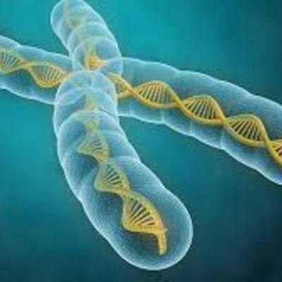 Timeline: La historia de la genética