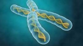 Timeline: La historia de la genética