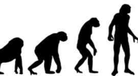 Timeline: Edades de la historia  de la humanidad