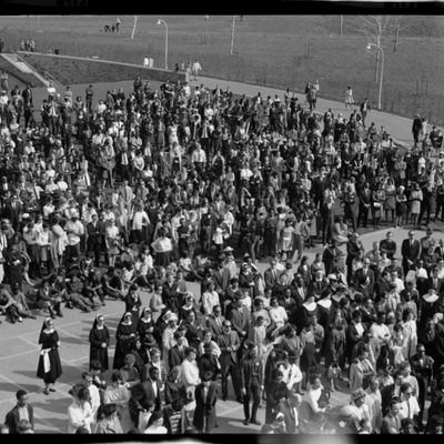 Timeline: Civil Rights Timeline Activity