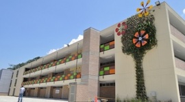 Timeline: Historia de la Jose Miguel