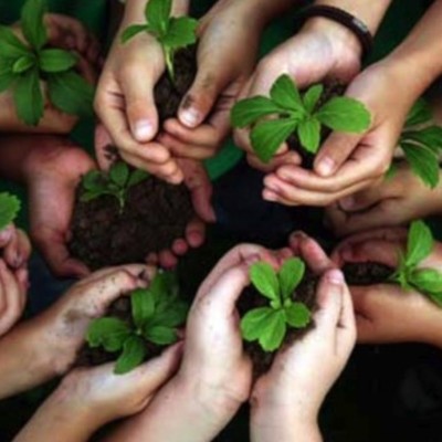 Timeline: MEDIO AMBIENTE EN COLOMBIA