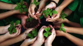 Timeline: MEDIO AMBIENTE EN COLOMBIA