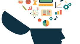 Timeline: Concepto de pedagogía y teorías del aprendizaje significativo