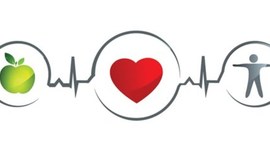 Timeline: Hábitos Saludables