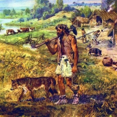 Timeline: Historia de la domesticación de los animales