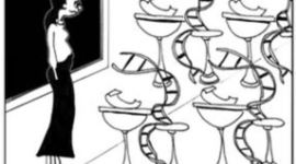 Timeline: Students Exams