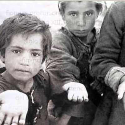 Timeline: Historia Trso