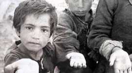 Timeline: Historia Trso