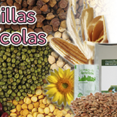 Timeline: Semillas Híbridas y sus comienzos