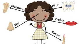 Timeline: Los sentidos y su importancia.