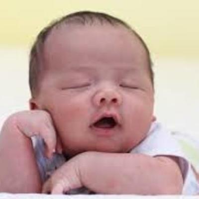 Timeline: hitos del desarrollo