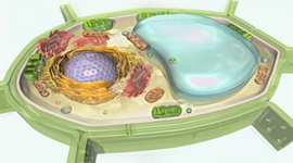 Timeline: La "CÉLULA", a través de la historia