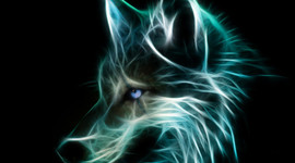 Timeline: ANIMALES EN VÍA DE EXTINCIÓN