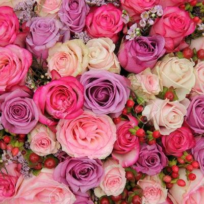 Timeline: Historia  de las rosas