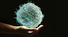 Timeline: Descubrimientos Importantes Sobre La Célula