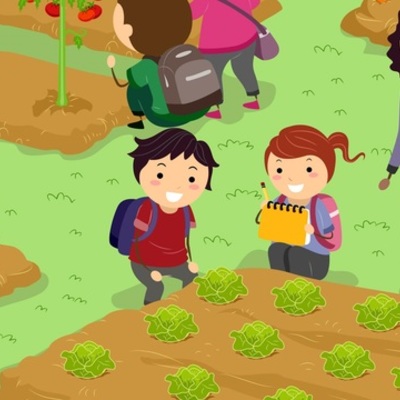 Timeline: Nuestro huerto escolar