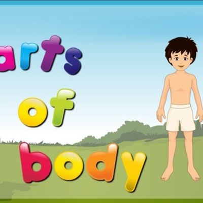 Timeline: PARTS OF THE BODY