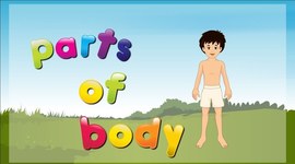 Timeline: PARTS OF THE BODY