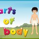 Parts of the body
