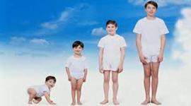 Timeline: Стадии развития ребенка (рожден в 2000 году)