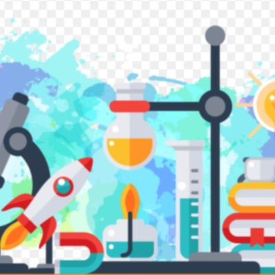 Timeline: Redemption Assignment Bio 156!