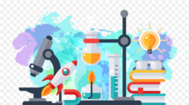 Timeline: Redemption Assignment Bio 156!