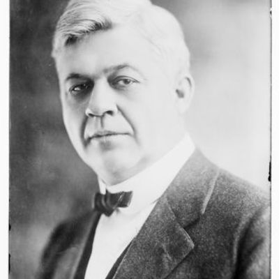 Timeline: MRP ETAPAS