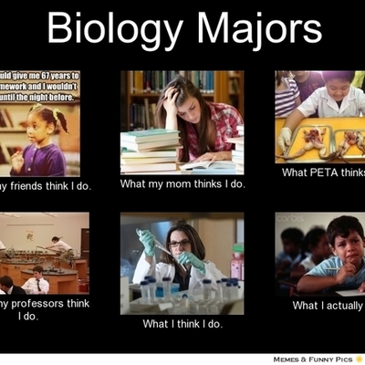 Timeline: BIO156.Redemption.Assignment