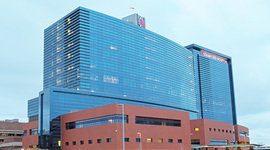 Timeline: The day i was born