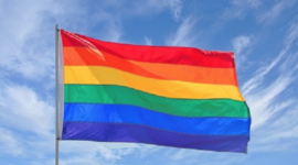 Timeline: LGBTQ+ Movement in the United States