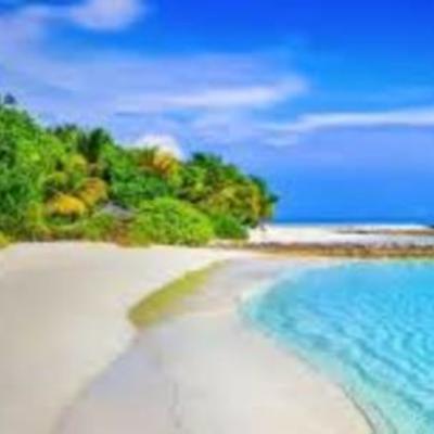 Timeline: Daños medio ambientales