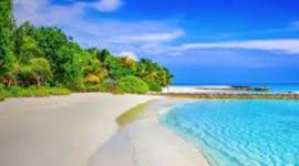 Timeline: Daños medio ambientales