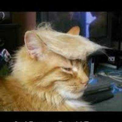 Timeline: World history timeline