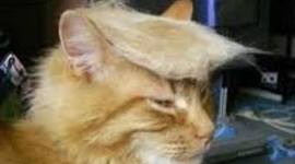 Timeline: World history timeline