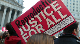 Timeline: The Journey Towards Reproductive Justice in the United States¹¹