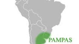 Timeline: Problemáticas a lo largo del tiempo en la Región Pampeana