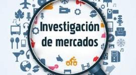 Timeline: Investigacion de Mercadeo