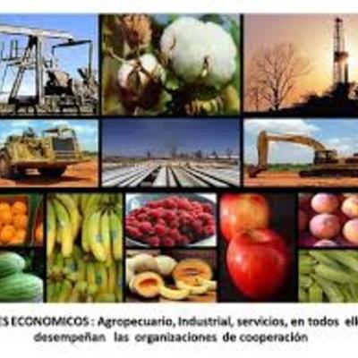 Timeline: Sectores Económicos
