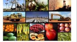 Timeline: Sectores Económicos