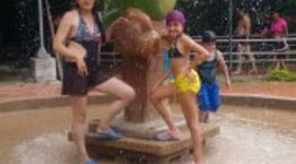 Timeline: Momento historico del curriculo